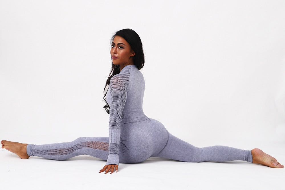 Fitness Leggings+Cropped Sport Suit