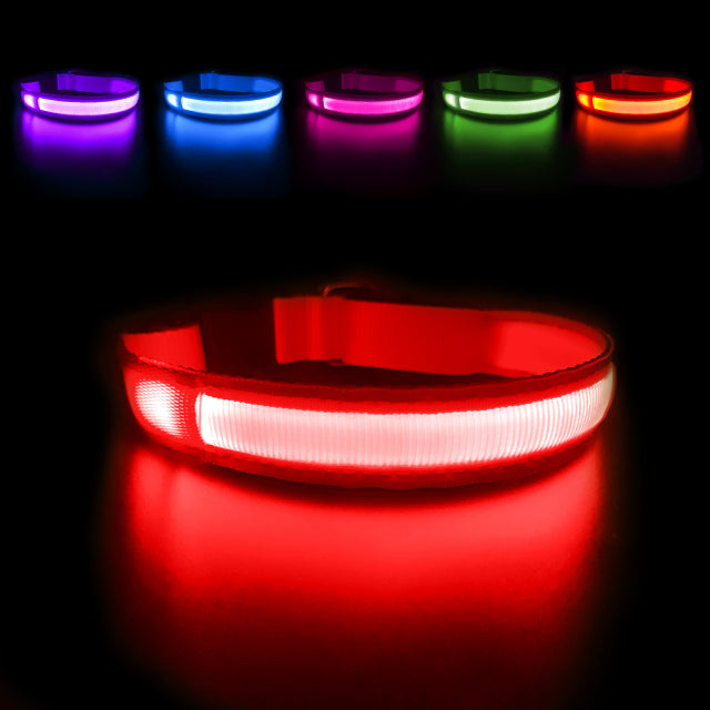 LED Waterpoof Pet Collar