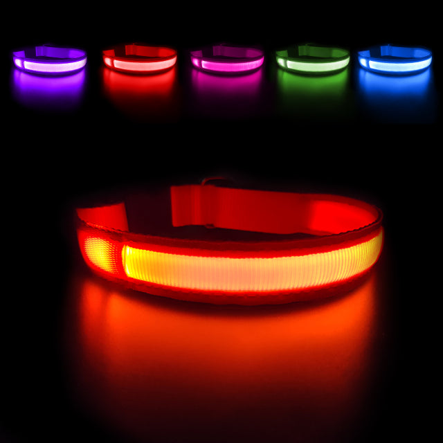 LED Waterpoof Pet Collar