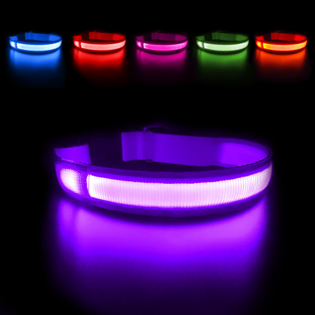 LED Waterpoof Pet Collar