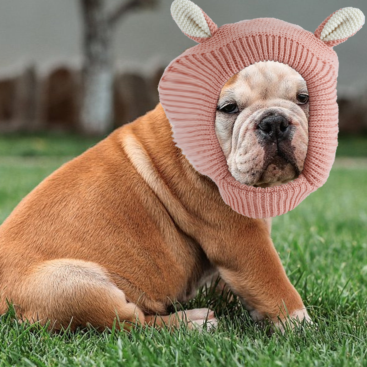 Pet Plush Headgear